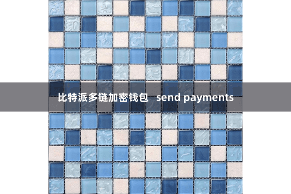 比特派多链加密钱包   send payments