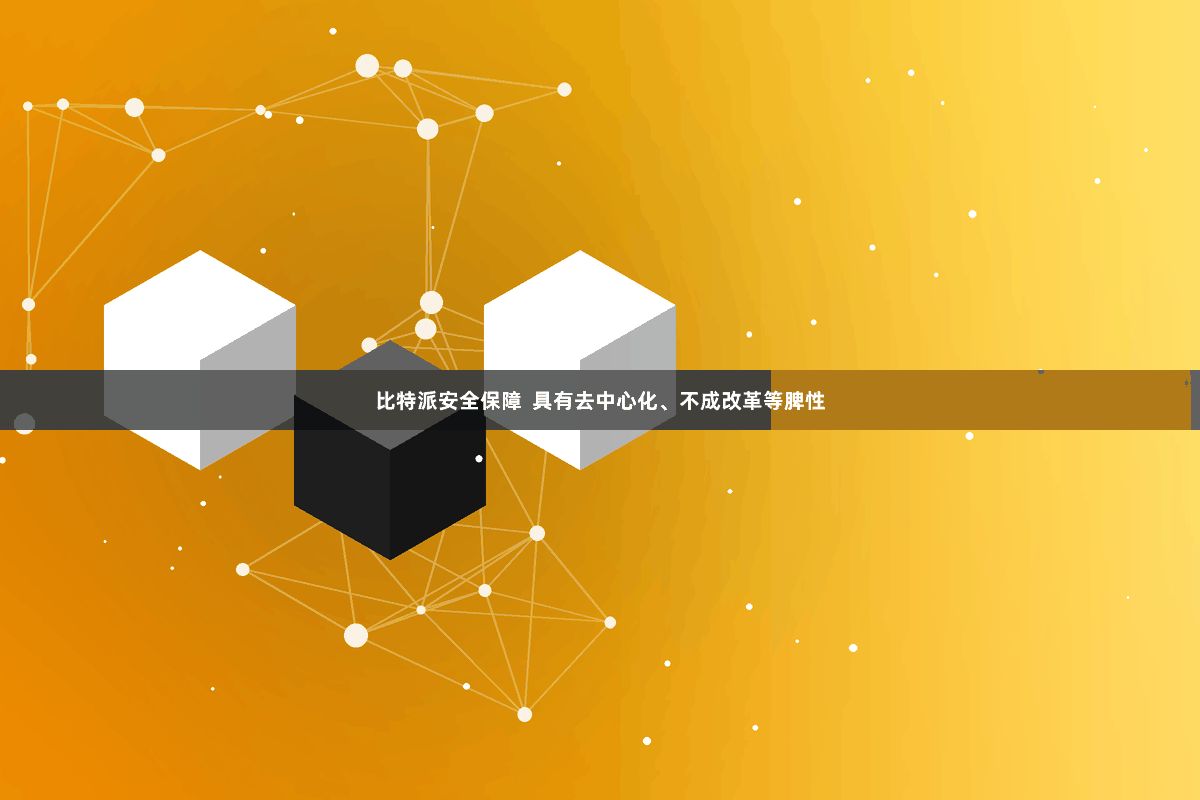 比特派安全保障  具有去中心化、不成改革等脾性